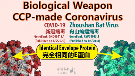 efe50631132f4a95.png
