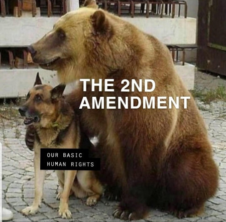 bear arms.jpg