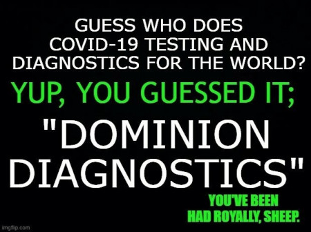 domcv.jpg