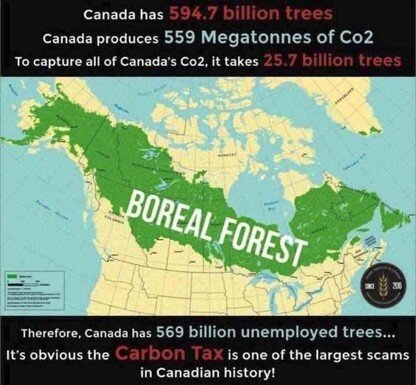 bc4c52b4c347cea4.jpeg