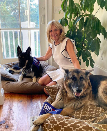 jill-biden-dogs-champ-major-twitter-cjh-110720.jpg