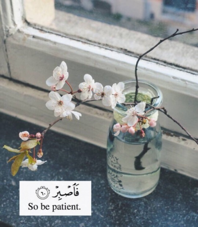0abdde083e1b53a4.png