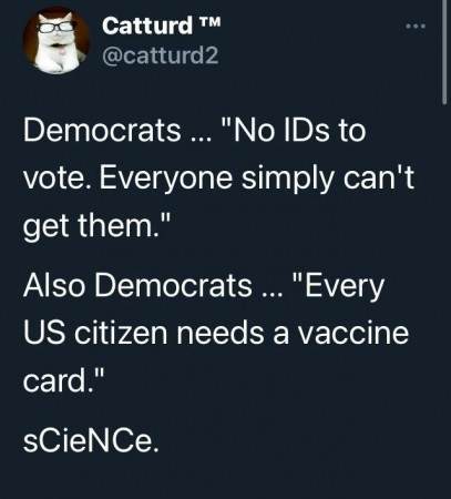 cd301f21478194b4.jpeg