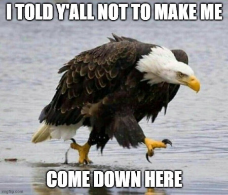 8a587347b76158f9.jpg