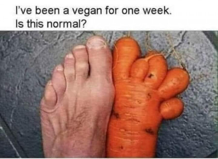 c7f8bfad7d2fad59.jpg