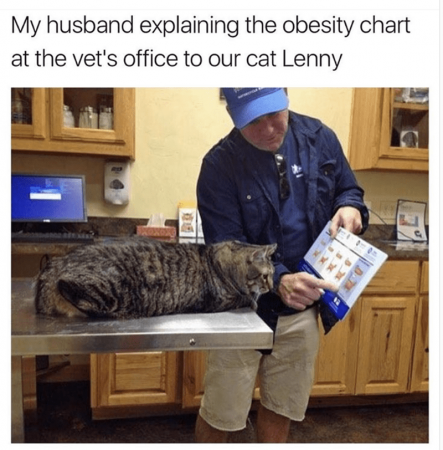 2ff393e9220f0293.png