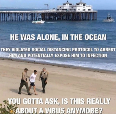 38009c7d26a6e30c.png