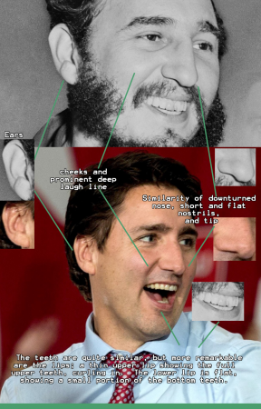 27d2aa96a24a4775.png