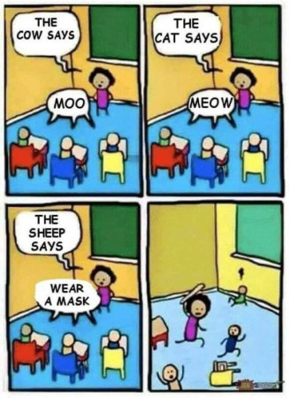 2e0916d7326ba287.jpeg