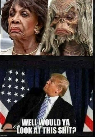 ec08f8c65b2d5bd4.jpg