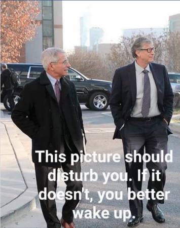 2ef254ae6e313a7c.png