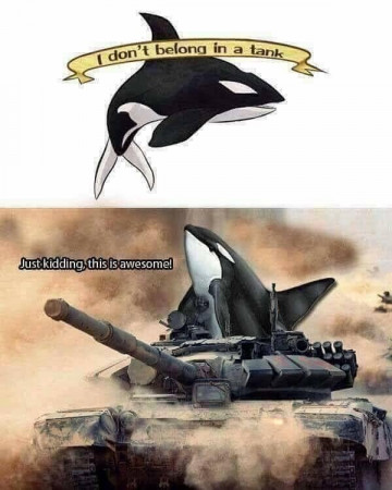 26f63afca330649f.jpeg