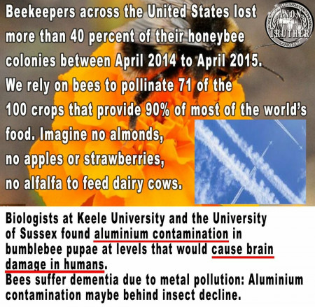 bc2bb899391df1d7.jpg