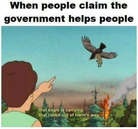 3d71b5aa15e72c91.jpeg