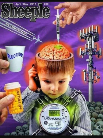 3f333fb1ff3478db.jpeg