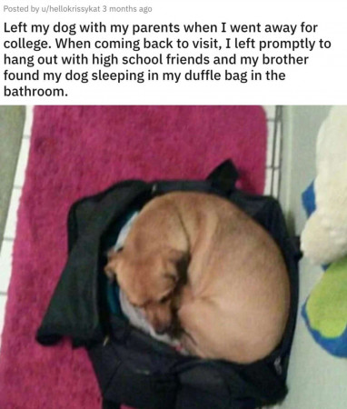 c1407922a5f7d8fd.jpeg