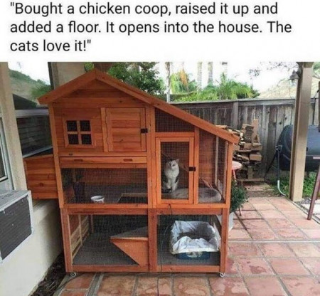 39596493f18098ee.jpg