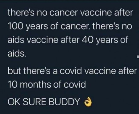 50212b2af58e7e9d.jpg