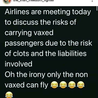 d9f560221e8cf1b7.jpg