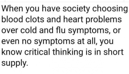 2882eda8fb718660.png