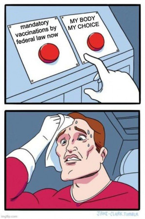 b0b9df6eed060b90.jpg