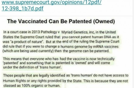 genome.jpg