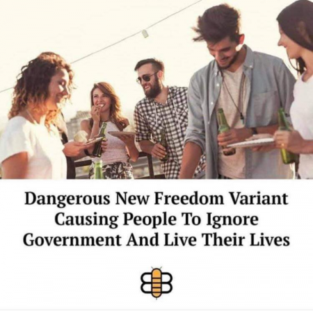 228f724748145d7c.png