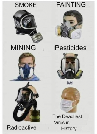 5553542bd8d9b339.png