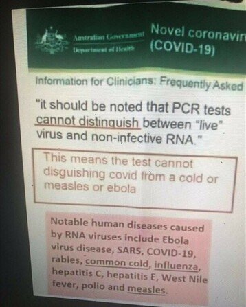 21b20c7d33625801.jpg