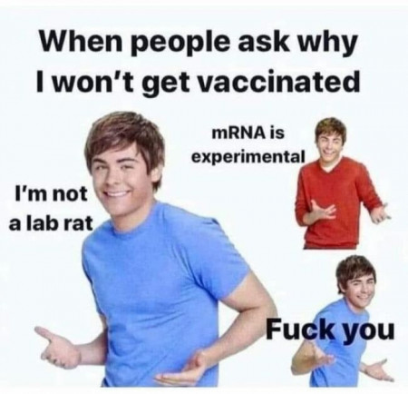 58e7cba664c9fc4c.jpg
