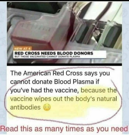 4788b16da6b9dcc7.jpeg