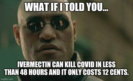 a8c1f85efe996ee6.jpg