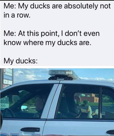 9c140e361bfef039.jpeg