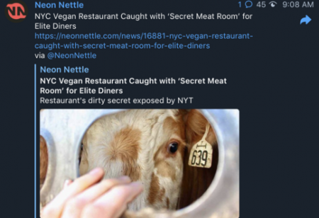 5881bb1655369779.png