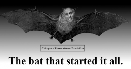 c3503b048688753f.png