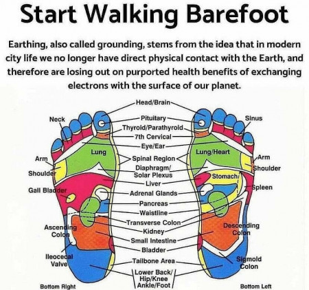feet.jpg