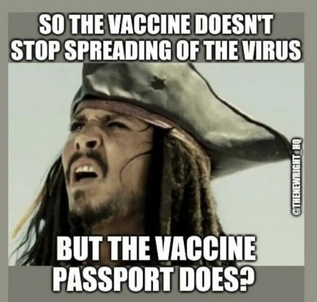 eccd5469b4d8cdd8.jpeg