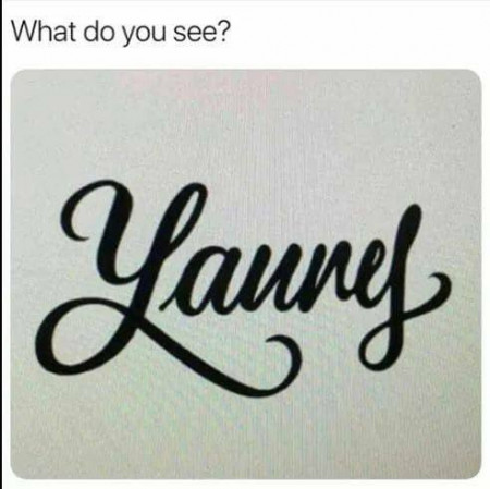 laurel.jpg