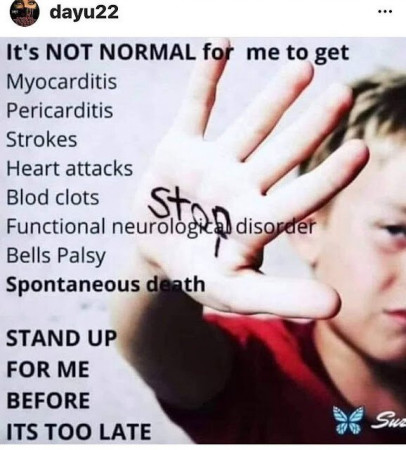 a69b07d12d47da9d.jpg