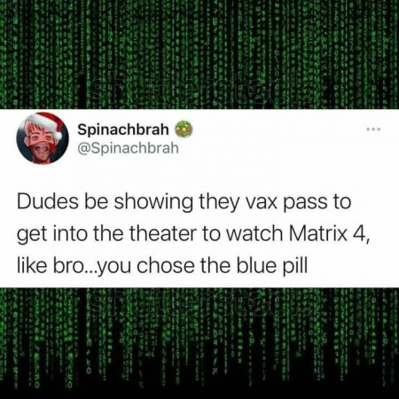 7c8db3ae009f8c17.jpg
