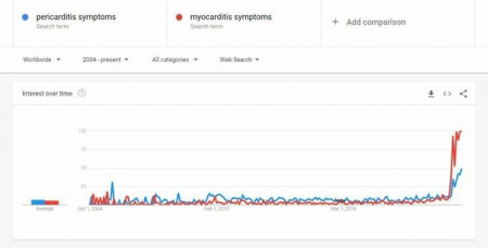 myocarditis.jpg