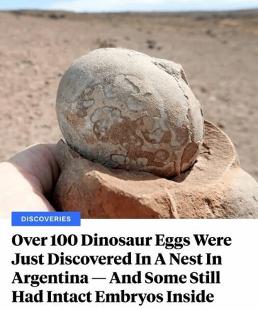 34b76b3427c7f23c.jpg