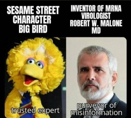 8587e9c38df37d36.jpg