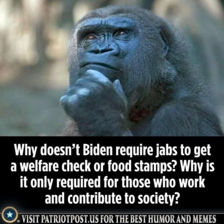 1a7e3f00814ef98a.jpeg
