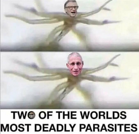 b8b2f0c32a69bc8e.jpg