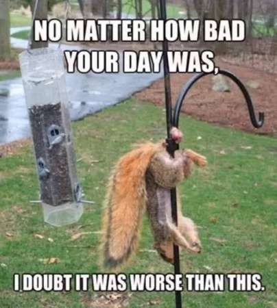 dd4328e52fd2260c.png