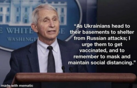 c43f2237de61504a.png