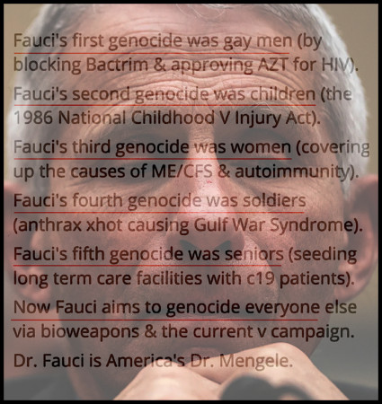 d5f0c470e2ecc2a8.jpg