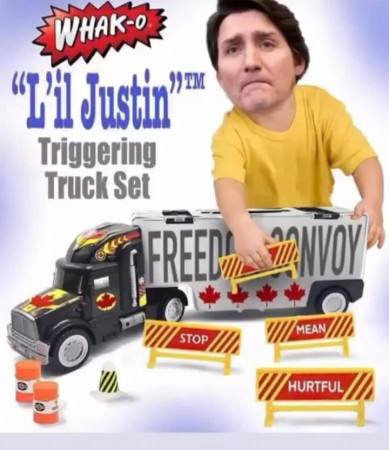d6f8931eef73f0ef.jpg