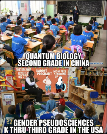 6b426c7bd85def40.jpg